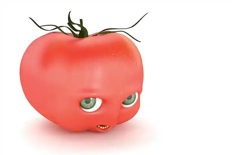 Referenz 3D Animation Tomate