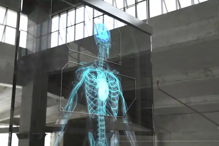 Referenz 3D Animation Anatomie